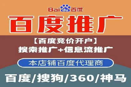 解析某某SEM服务公司的广告投放策略与效果评估